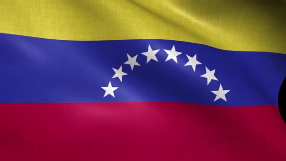 Venezuela Flag alt