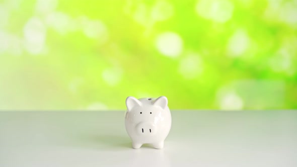 Hand put coins into the piggy bank with green nature background