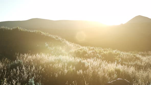 Sunset Over the Valley Fields alt