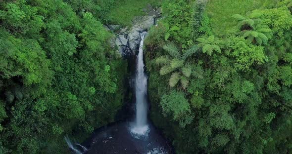 Drone shot of nature view of waterfall with surrounded by dense of trees. nature is still beautiful alt