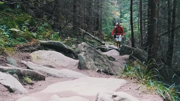 Tourist with a Backpack Goes Down Along the Stone Trail in Mountain Forest. alt