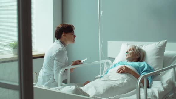 Female Doctor Giving Consultation to Senior Woman in Hospital Ward alt