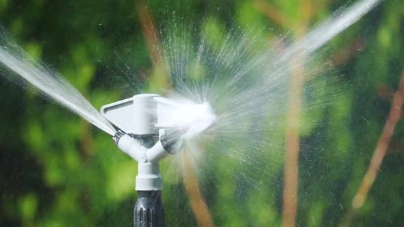 Sprinkler Spins in a Circle and Sprays Water., Stock Footage | VideoHive