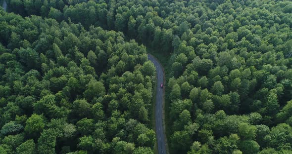 Aerial View of Green Forest with Road and Moving Red Car