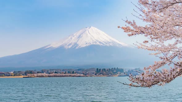 Japan Sakura Season alt