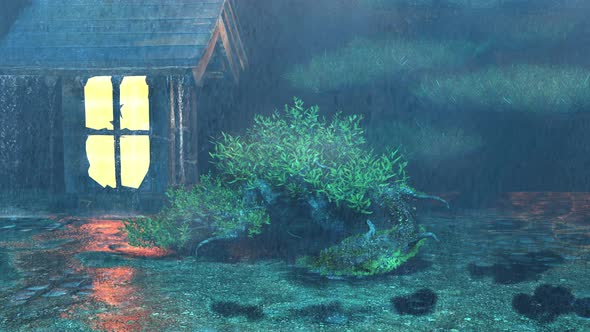 The Rain Falls On The Small Roof In The Bonsai Garden At Nigh, The Rain Falls On The Wet Ground alt