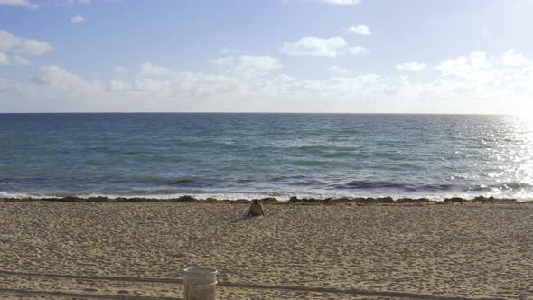 View at Sunny Sand Beach and Rolling Waves in Miami in USA