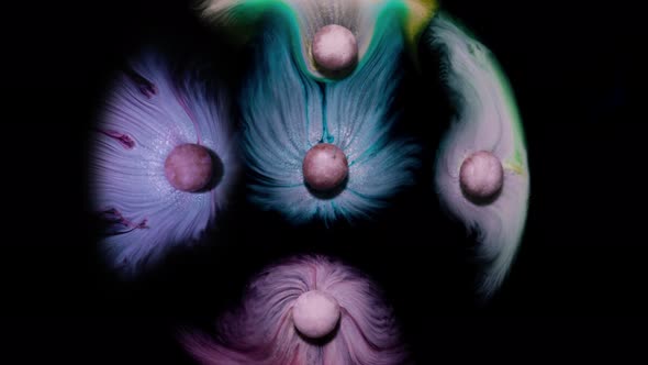 The Reaction of the Dissolution of Colored Candies in a Liquid