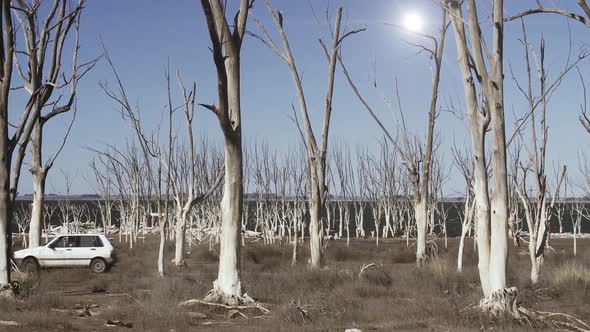 A Car driving on Asphalt Road through Dry Trees. alt