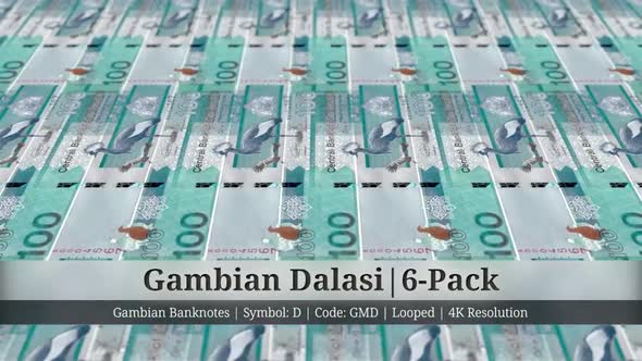 Gambian Dalasi | Gambia Currency - 6 Pack | 4K Resolution | Looped alt
