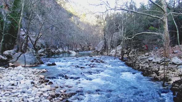 Waterfall between the Forest and Hills