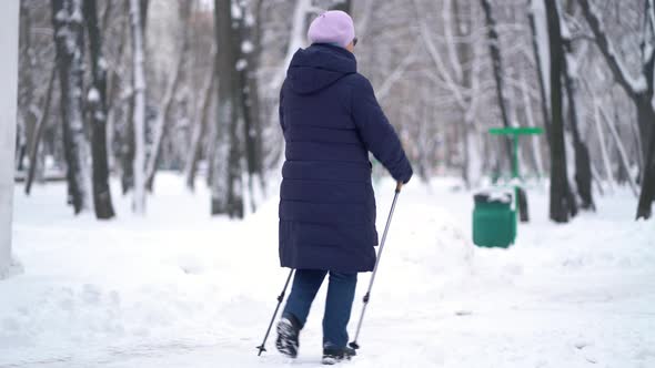Active Senior Elderly Woman Training Nordic Walking with Trekking Poles. Elderly Woman Practicing