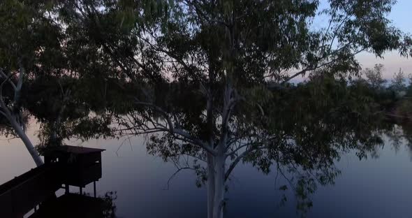 Drone shot starting behind tree  revealing trees and water reflections in lake  after sundown alt