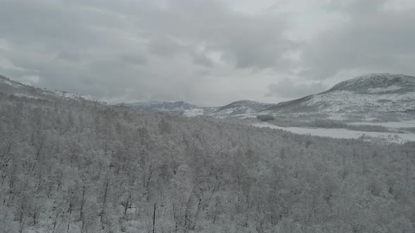 Fresh snow transforms landscape into fantasy land, drone flight alt
