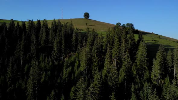 Beautiful Landscape with Mountains Slopes and Forests alt