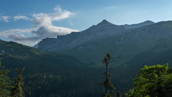 Pine Trees in Mountains at Sunset