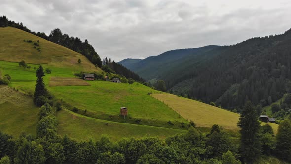 Flying Over the Green Pine Forest Over Carpathian Mountains Low Clouds with Summer alt
