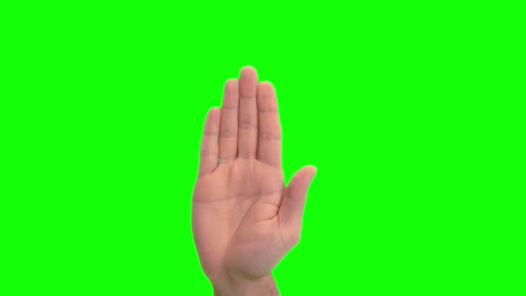 Hand Up Green Screen (2.7K) alt