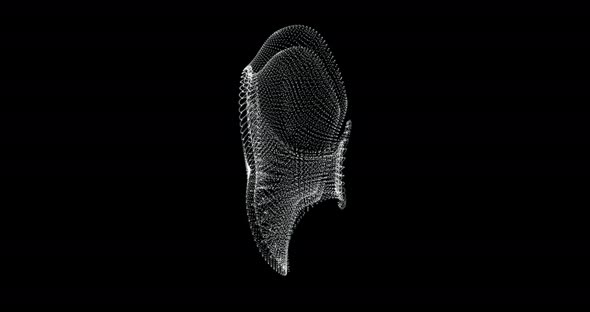 Abdominal Human Muscle Hologram alt