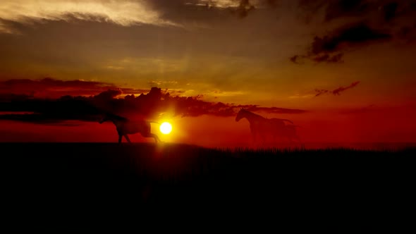 Herd of Horses Running in the Sunset