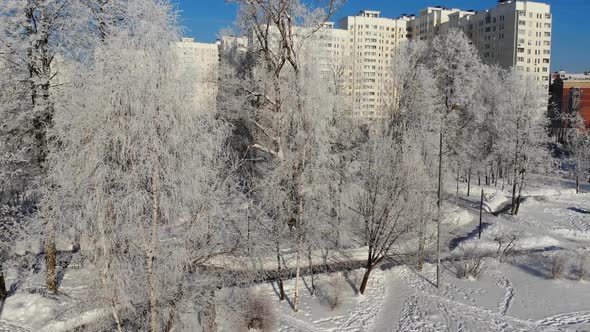 Snow Covered City Park in Winter and Moscow, Russia