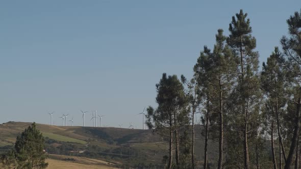 Beautiful landscape shot of wind turbines surrounded by trees in nature, Spain alt