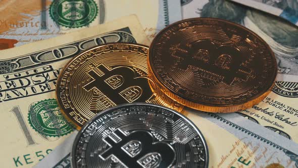 Bitcoin Coins Btc And Dollars Rotate By Rostrecords Videohive Bitcoin Coins Btc And Dollars Rotate Stock Footage
