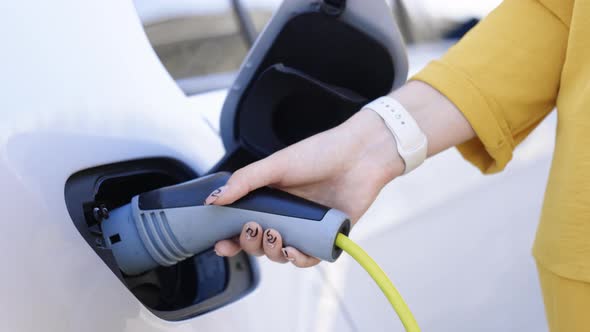 Female Hand Holding Electric Car Plug for Recharge Plug In Hybrid Car