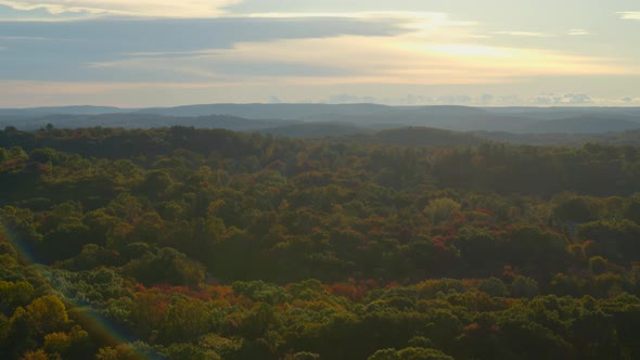 Aerial of autumn trees in the forest at sunset alt