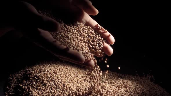 Female Hands Pours Buckwheat Grain. Slow Motion alt
