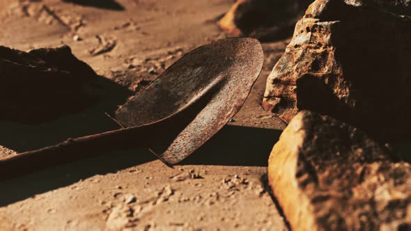 Old Rusty Shovel on Wet Sand at the Beach alt
