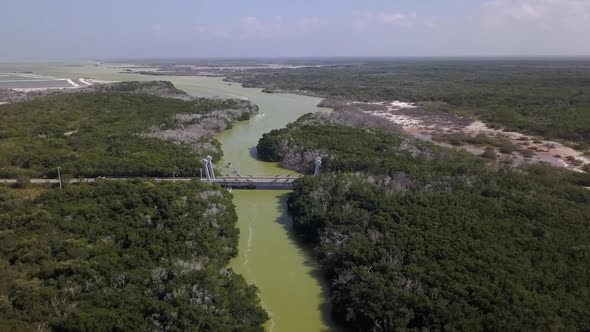 Aerial view on Mexican jungle and a lagoon in Rio Lagartos in Yucatan in Mexico alt