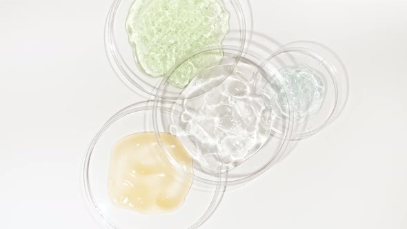 Rotation of Petri Dishes with Cosmetics Samples on a White Background alt
