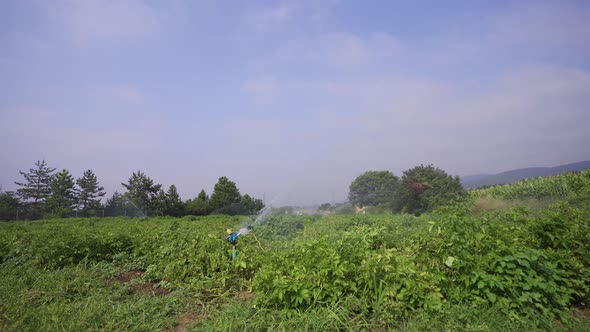 Field irrigation system. alt