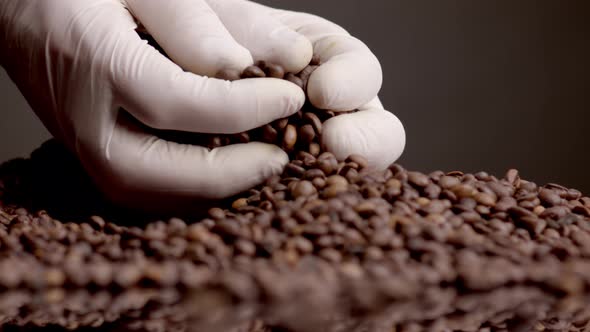 Hands Taking Coffee Beans in Gloves Close Up alt