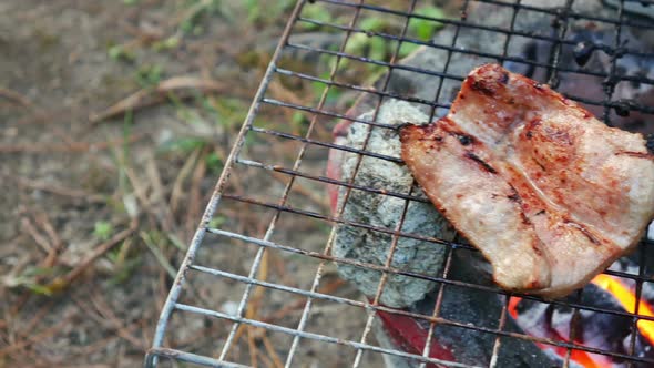 Pork Barbecue Grilling on Stove