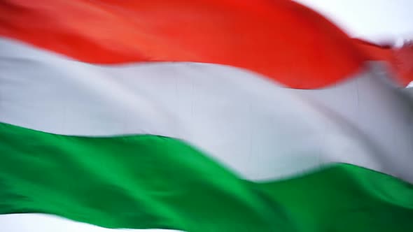 Hungary Flag Real