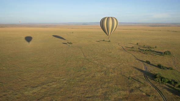 Aerial shot of a hot air balloon flying over the savannah alt