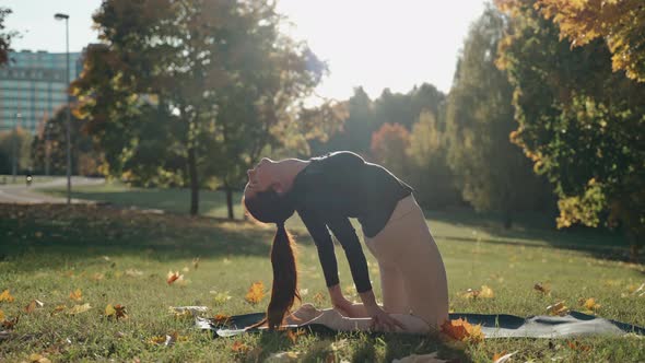 Young Woman Doing Bridge and Forward Fold Poses in Autumn City Park on Yoga Mat