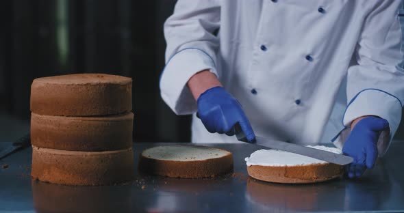 A Close Up of a Pair of Blue Gloves Holding a alt