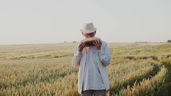 Senior Man Holds and Sniffs a Loaf of Bread in Summer Wheat Field alt