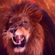 Lion Roaring - VideoHive Item for Sale
