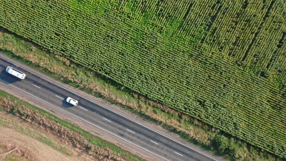 Aerial View of Cars Driving Along the Ural Highway Along a Sunflower Field on a Summer Day alt
