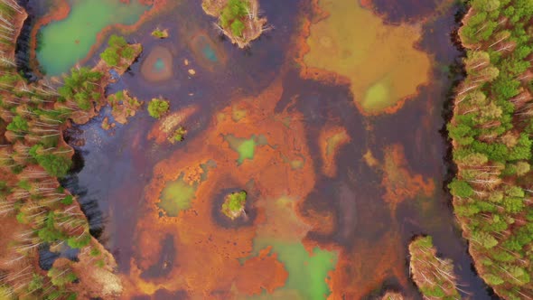 The Toxic Lake is Located Next to Green Trees alt