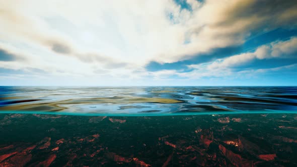 Underwater View with Horizon and Water Surface Split By Waterline alt