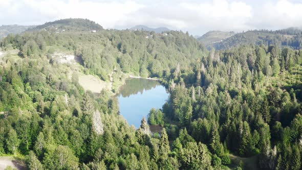 Tabzon City Pond Middle Of Green Forest Aerial View 2