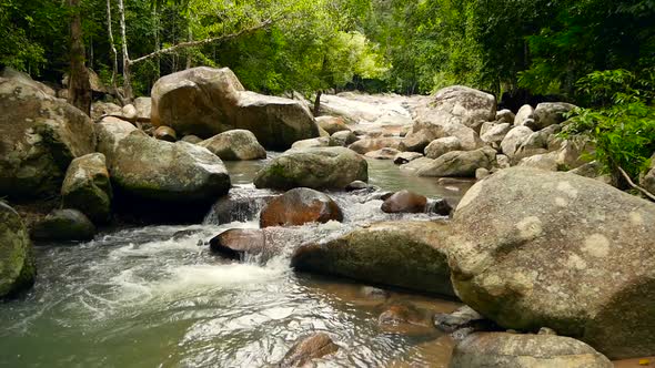 Mountain River Flowing in Rainforest. Endless Meditative Video, Stream in Tropical Exotic Jungle