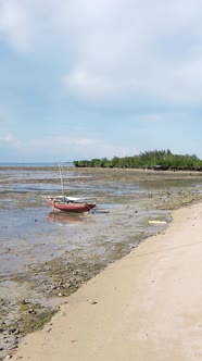 Vertical Video of Low Tide in the Ocean Near the Coast of Zanzibar Tanzania alt