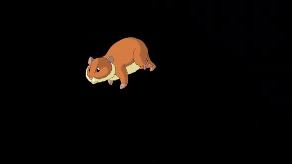 Red hamster runs away alpha matte alt
