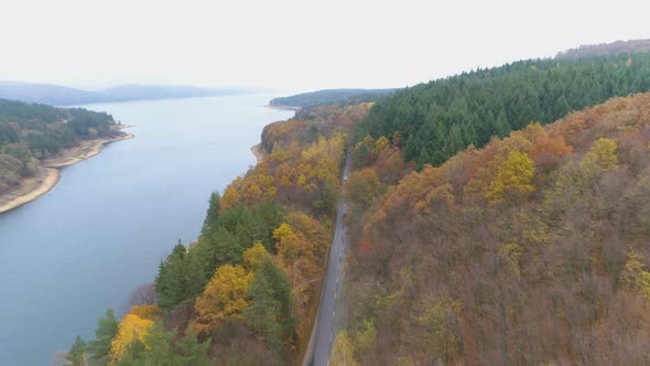 Aerial View of Beautiful Mixed Forest in Autumn Colors. Asphalt Road Crossing the Forest alt